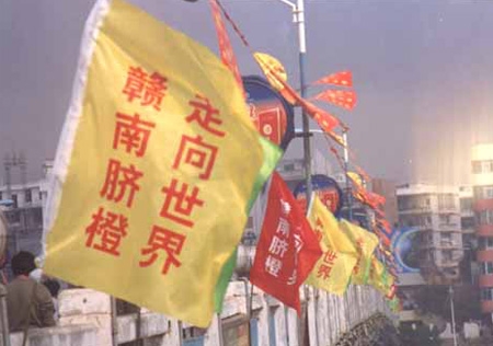 &#27431;&#23453;&#32593;&#23448;&#26041;&#31449;&#20837;&#21475;&#45;&#27431;&#23453;&#40;&#20013;&#22269;&#41;